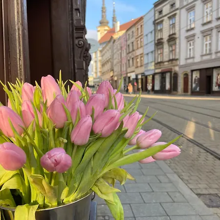 Гостевой дом Moravia 3*