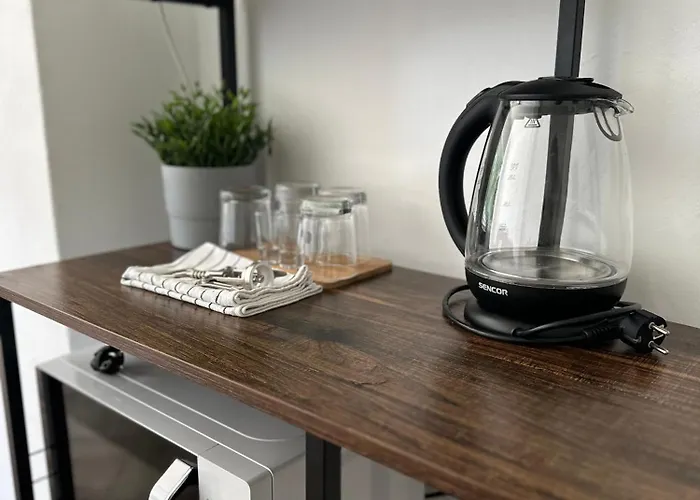 ゲストハウス Moravia 3*